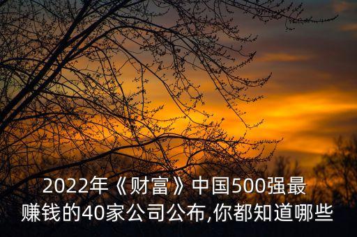 2022年《財富》中國500強(qiáng)最 賺錢的40家公司公布,你都知道哪些