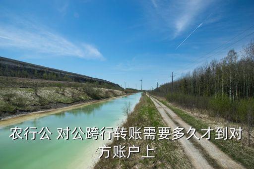 農(nóng)行公 對公跨行轉(zhuǎn)賬需要多久才到對方賬戶上