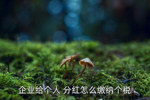 企業(yè)給個人 分紅怎么繳納個稅