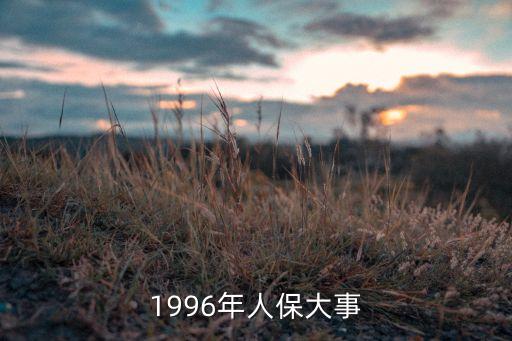 1996年人保大事