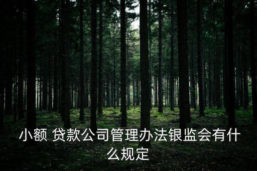 小額貸款公司能否對(duì)外提供擔(dān)保