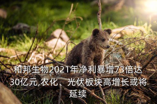 和邦生物2021年凈利暴增73倍達(dá)30億元,農(nóng)化、光伏板塊高增長或?qū)⒀永m(xù)