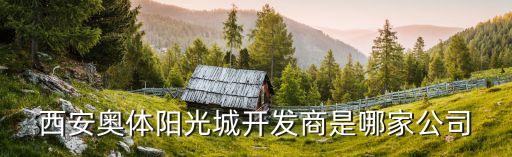 西安奧體陽(yáng)光城開發(fā)商是哪家公司