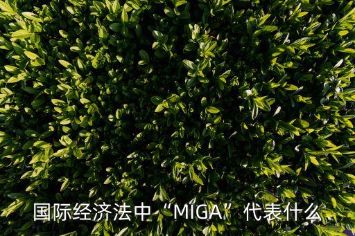 國際經濟法中“MIGA”代表什么