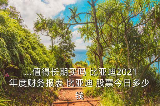 ...值得長期買嗎 比亞迪2021年度財務(wù)報表 比亞迪 股票今日多少錢