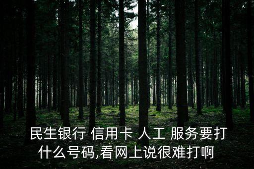  民生銀行 信用卡 人工 服務要打什么號碼,看網(wǎng)上說很難打啊