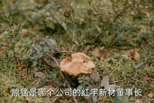 熊猛是哪個(gè)公司的紅宇新材董事長(zhǎng)