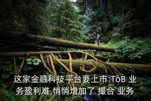 這家金融科技平臺(tái)要上市:ToB 業(yè)務(wù)盈利難,悄悄增加了 撮合 業(yè)務(wù)