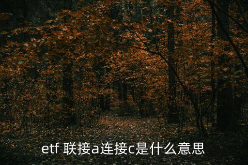 etf 聯(lián)接a連接c是什么意思