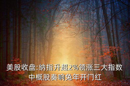 美股收盤:納指升超2%領(lǐng)漲三大指數(shù)中概股奏響兔年開門紅