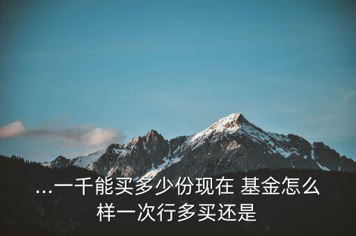 買(mǎi)開(kāi)放性華寶基金最少多少份