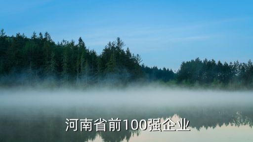  河南省前100強(qiáng)企業(yè)