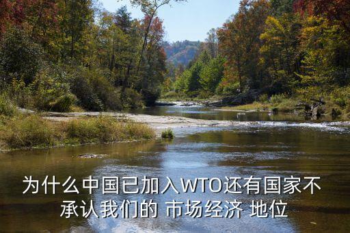 為什么中國已加入WTO還有國家不 承認我們的 市場經濟 地位