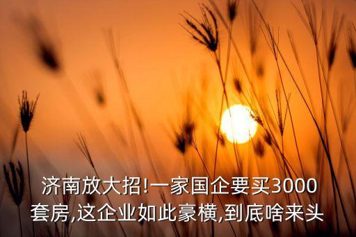  濟(jì)南放大招!一家國企要買3000套房,這企業(yè)如此豪橫,到底啥來頭