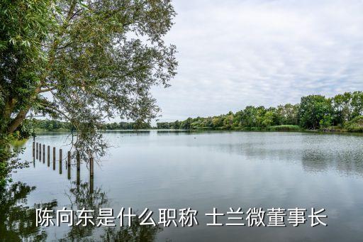 陳向東是什么職稱 士蘭微董事長(zhǎng)