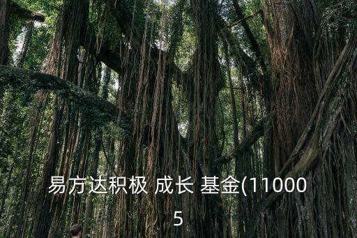 易方達(dá)積極 成長 基金(110005