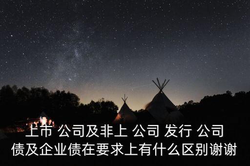 上市 公司及非上 公司 發(fā)行 公司債及企業(yè)債在要求上有什么區(qū)別謝謝