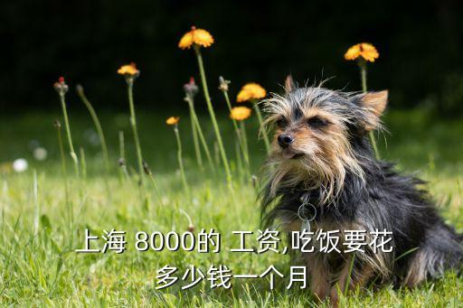 上海8000工資相當于廣州多少,上海1w工資相當于廣州多少