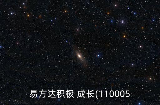 易方達(dá)積極 成長(110005