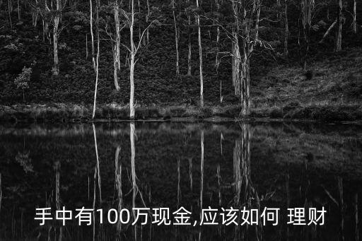 手中有100萬現(xiàn)金,應(yīng)該如何 理財(cái)