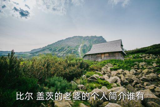 比爾 蓋茨的老婆的個(gè)人簡(jiǎn)介誰(shuí)有