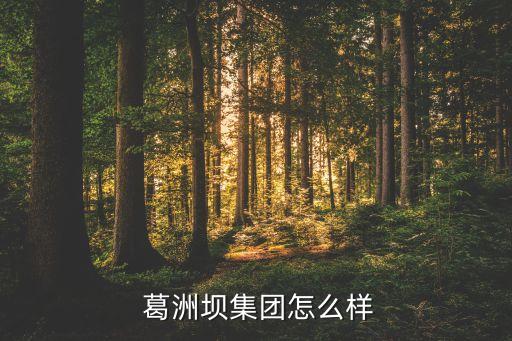 中同葛洲壩五公司,葛洲壩五公司現(xiàn)任董事長