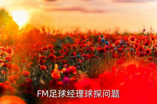 多聽(tīng)fm投資人