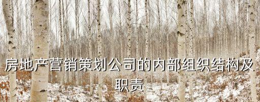 房地產(chǎn)營銷策劃公司的內(nèi)部組織結(jié)構(gòu)及職責