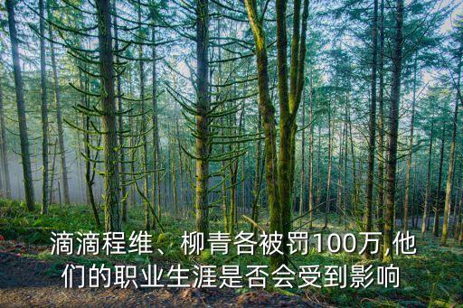  滴滴程維、柳青各被罰100萬,他們的職業(yè)生涯是否會受到影響