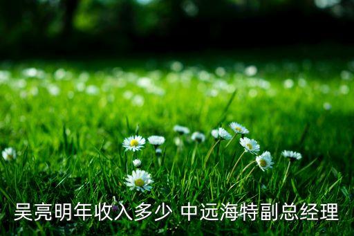 吳亮明年收入多少 中遠(yuǎn)海特副總經(jīng)理