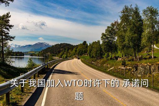 關(guān)于我國加入WTO時許下的 承諾問題