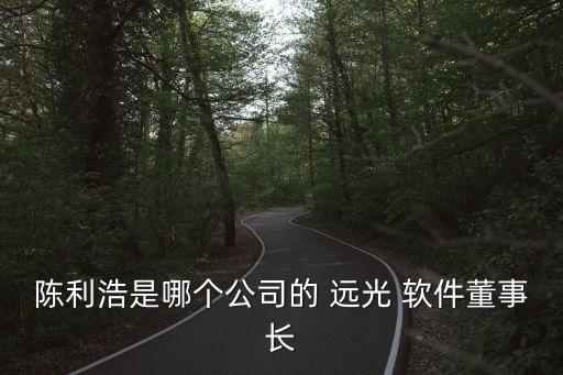 陳利浩是哪個(gè)公司的 遠(yuǎn)光 軟件董事長(zhǎng)