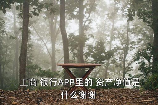  工商 銀行APP里的 資產(chǎn)凈值是什么謝謝