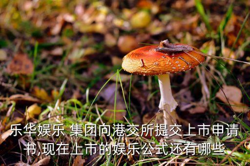 樂華娛樂 集團向港交所提交上市申請書,現(xiàn)在上市的娛樂公式還有哪些