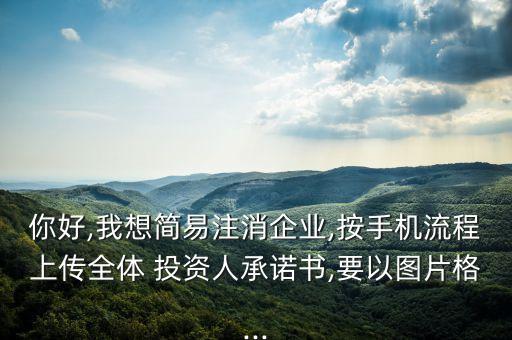 你好,我想簡易注消企業(yè),按手機流程上傳全體 投資人承諾書,要以圖片格...