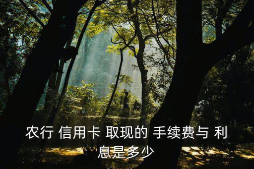 各銀行信用卡取現(xiàn)手續(xù)費(fèi)和利息,青島銀行信用卡取現(xiàn)手續(xù)費(fèi)怎么算