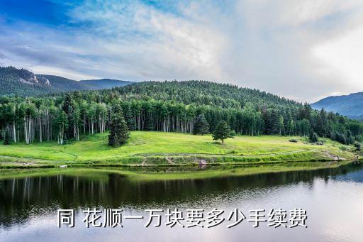 證券公司付同花順的導(dǎo)流費