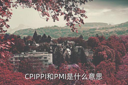 CPIPPI和PMI是什么意思