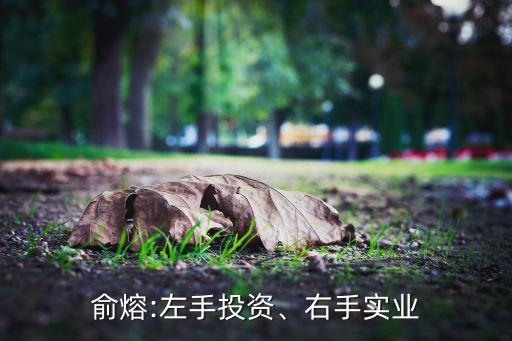 俞熔:左手投資、右手實(shí)業(yè)