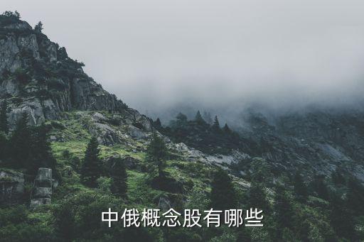 中俄概念股有哪些