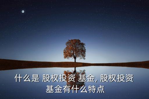 什么是 股權投資 基金, 股權投資 基金有什么特點