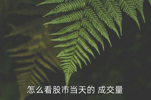 怎么看股市當天的 成交量