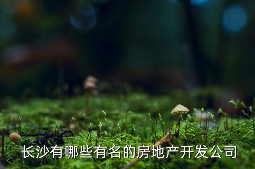  長(zhǎng)沙有哪些有名的房地產(chǎn)開(kāi)發(fā)公司