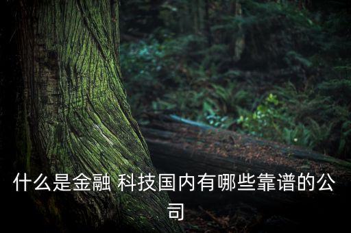 什么是金融 科技國內(nèi)有哪些靠譜的公司