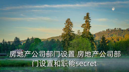  房地產公司部門設置 房地產公司部門設置和職能secret