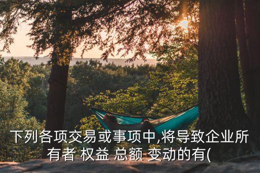 下列各項(xiàng)交易或事項(xiàng)中,將導(dǎo)致企業(yè)所有者 權(quán)益 總額 變動(dòng)的有(