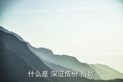 深證指數(shù)公司