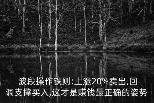  波段操作鐵則:上漲20%賣出,回調(diào)支撐買入,這才是賺錢最正確的姿勢(shì)