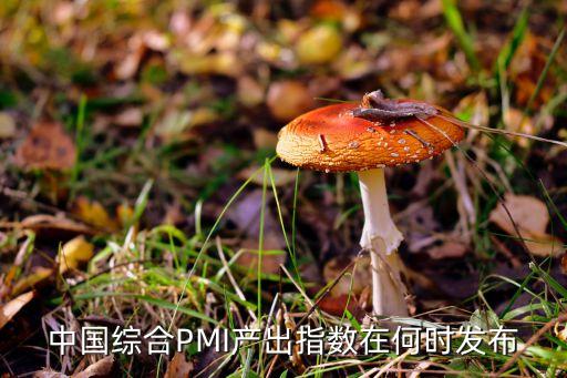 中國綜合PMI產(chǎn)出指數(shù)在何時(shí)發(fā)布