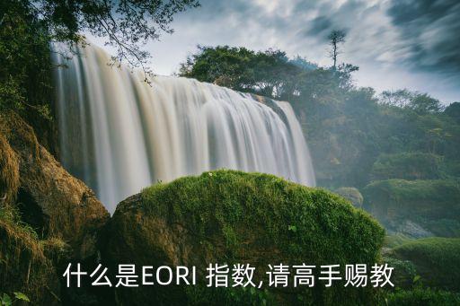 什么是EORI 指數,請高手賜教